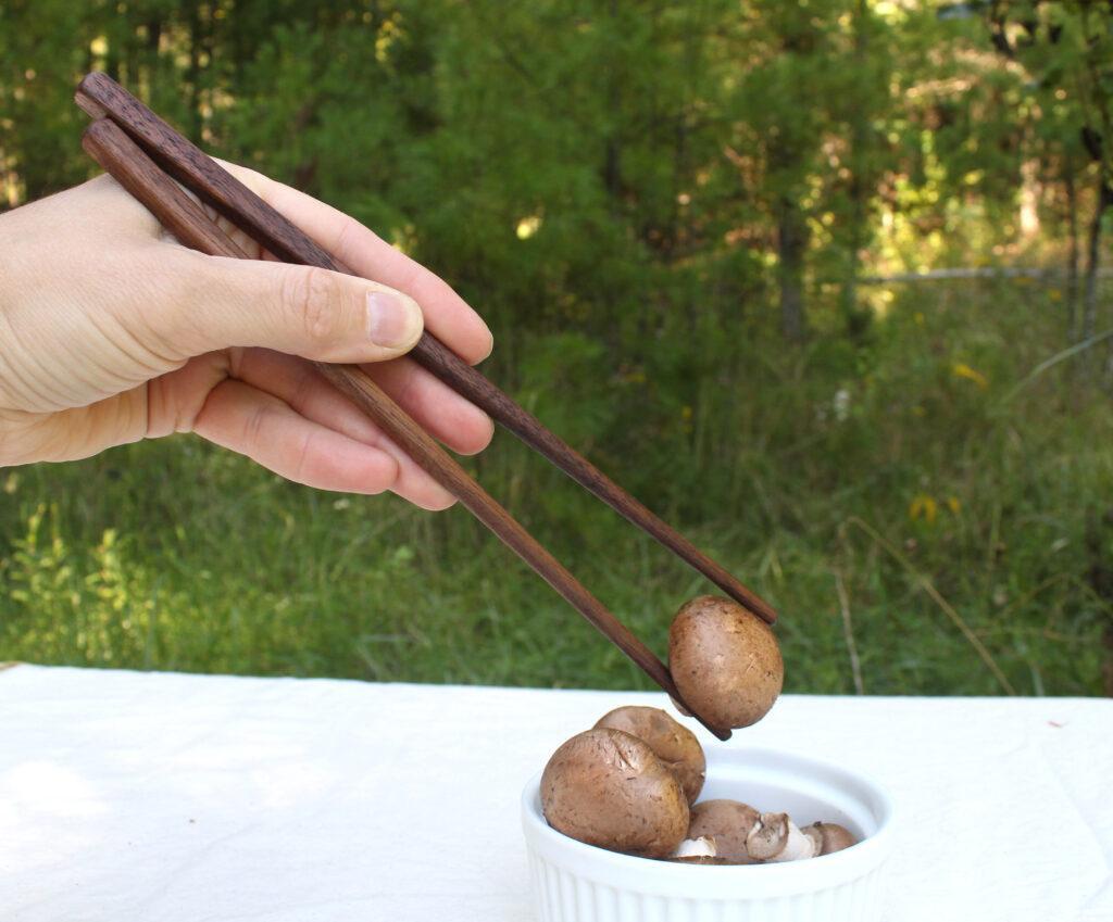 Chopsticks